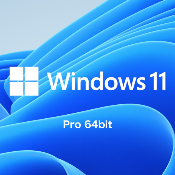 Windows 11 Pro 64bit 日本語 DSP版